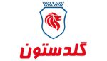 لاستیک گلدستون 750/16 (MRN) - گل جلو - Image 2